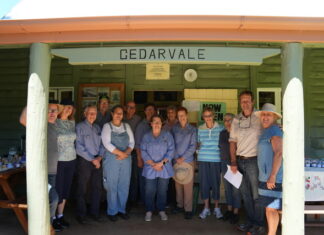 Bunya bounty celebrated