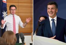 ‘Business as usual’: Littleproud backs Coalition reset