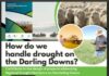 Darling Downs Regional Drought Resilience Implementation Planning