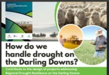 Darling Downs Regional Drought Resilience Implementation Planning