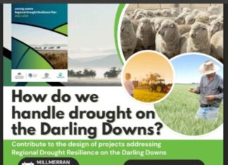 Darling Downs Regional Drought Resilience Implementation Planning