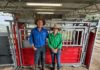 IVF open day shows beef producers how to fast-track genetic gain