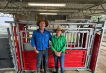 IVF open day shows beef producers how to fast-track genetic gain