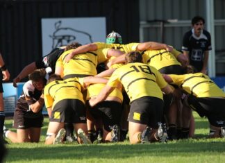 Emus ramp up preparations