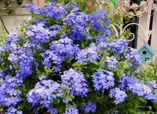 Get busy after the rains