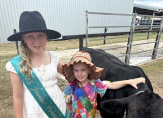 A spectacular show to come