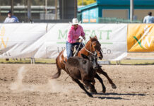 Riders, broncs, and bulls shine
