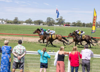 Young Guns light up Gunsynd Park