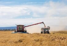 AgriFutures Australia to support National Food Supply Chain Assessment