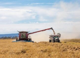 AgriFutures Australia to support National Food Supply Chain Assessment