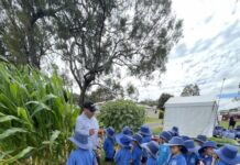 Ag Discovery Day returns to Royal Show