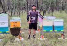 Supporting Australian beekeepers