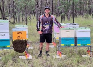 Supporting Australian beekeepers