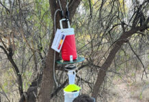 Time to be mosquito prepared