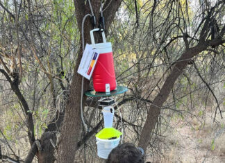 Time to be mosquito prepared