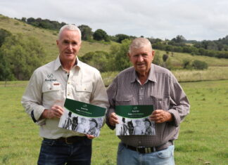 Survey reveals ‘cultural shift’ in rural mental health