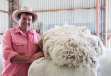 Sheep Sustainability Framework ready for next phase