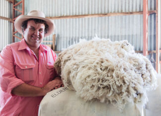 Sheep Sustainability Framework ready for next phase