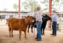 Showing off the best of the town