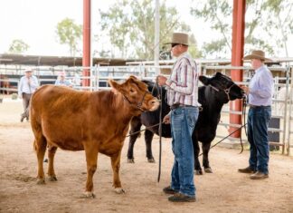 Showing off the best of the town