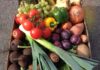 More urgency and clarity needed to protect fresh vegetable supply for Australians