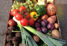 More urgency and clarity needed to protect fresh vegetable supply for Australians