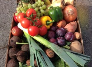 More urgency and clarity needed to protect fresh vegetable supply for Australians