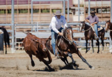 Mitchell Campbdraft celebrates 25th birthday