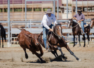 Mitchell Campbdraft celebrates 25th birthday