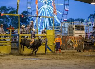 A weekend of memory-making fun