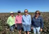 Darling Downs Grower of the Year Field Day brings growers together at Warra