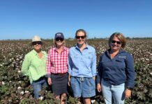 Darling Downs Grower of the Year Field Day brings growers together at Warra