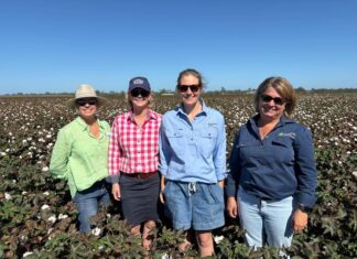 Darling Downs Grower of the Year Field Day brings growers together at Warra