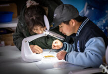 Unearth prehistoric wonders at Chinchilla Fossil Finders during Queensland Dinosaur Week