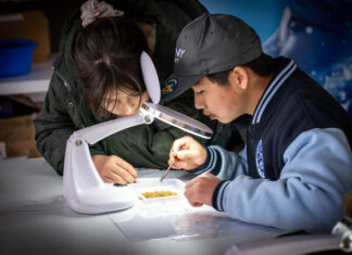Unearth prehistoric wonders at Chinchilla Fossil Finders during Queensland Dinosaur Week