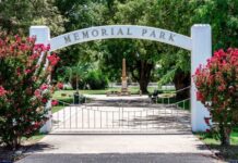 Big move for flying foxes