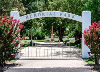 Big move for flying foxes