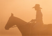 Life on the land in focus