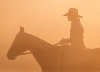 Life on the land in focus