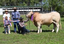 Fun for the whole family