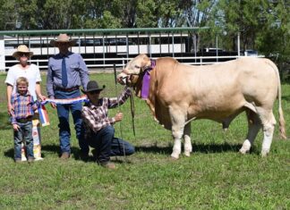 Fun for the whole family