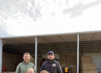 Long grass break turns the tables on herbicide-resistant ryegrass