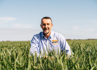 Does weed detection and spot-spraying machinery pay off?