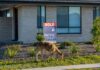 Feral deer breeding season action underway