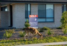 Feral deer breeding season action underway