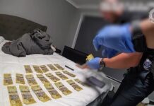 Police bust major Chinchilla drug ring