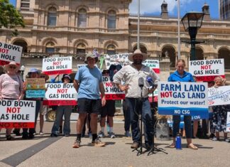 Report recommends keeping Condamine alluvium protections